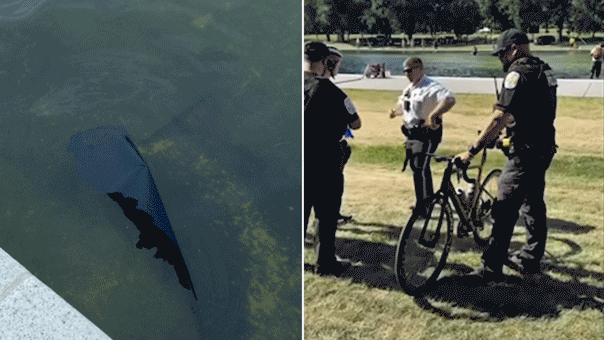 Former Olympian among those charged with vandalizing Reflecting Pool, Trump vows immediate repairs: report - Fox News