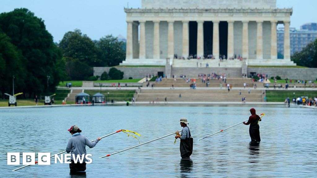 Davey Hearn: Former Olympian denies vandalising Washington Reflecting Pool after arrest - BBC